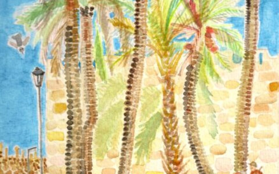 Old City walls, Jerusalem, Palm trees