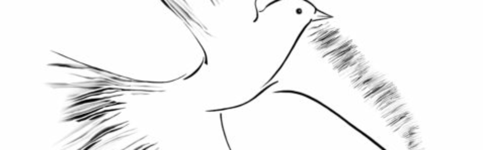 1. Eve and Adam