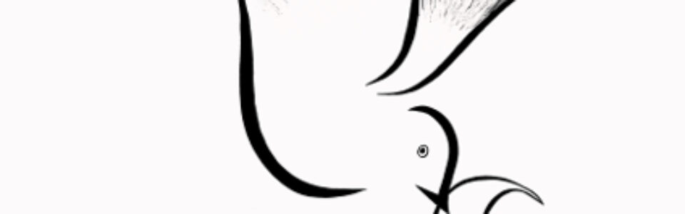 What If a Bird?